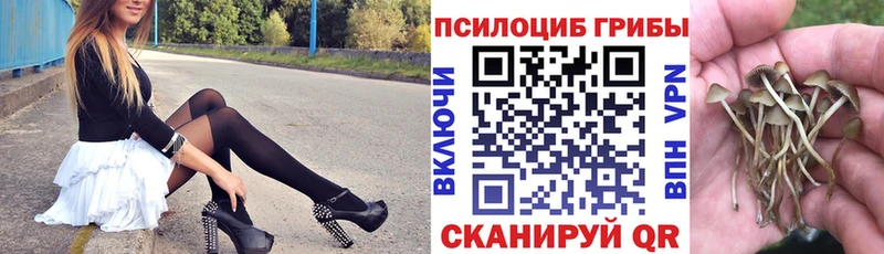 продажа наркотиков  Онега  Галлюциногенные грибы мухоморы 